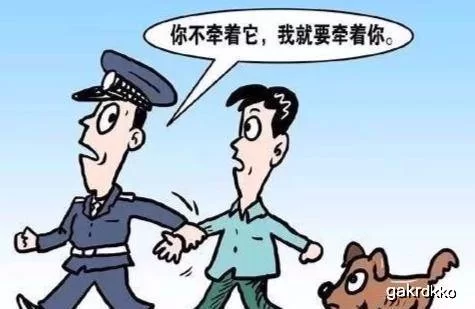 上门遛狗副业真能赚钱吗?服务靠谱不解决啥问题?