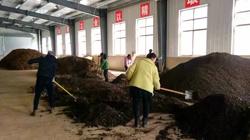 上班族养羊搞什么副业好,农村散养不影响工作还赚钱?