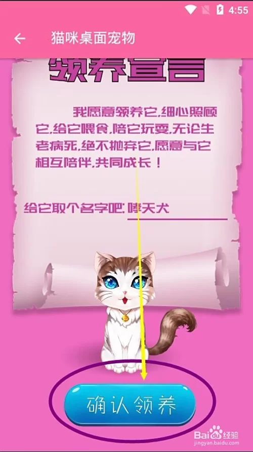 上班族做博主副业咋起步?宠物博主赚钱有啥妙招?