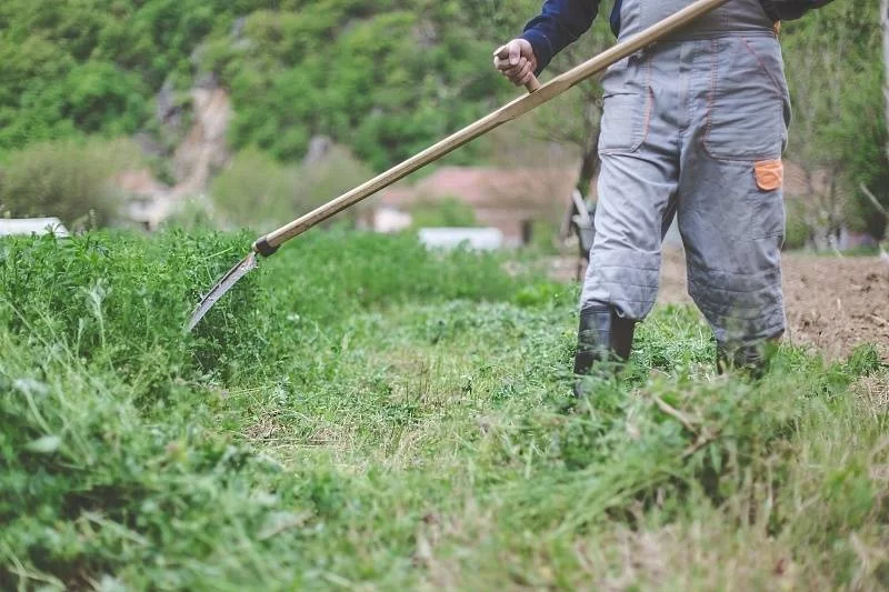 上班族上班很闲适合做什么副业，没特长也能赚钱吗？