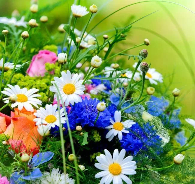 适合女性上班族的副业，哪些能专注做一辈子？