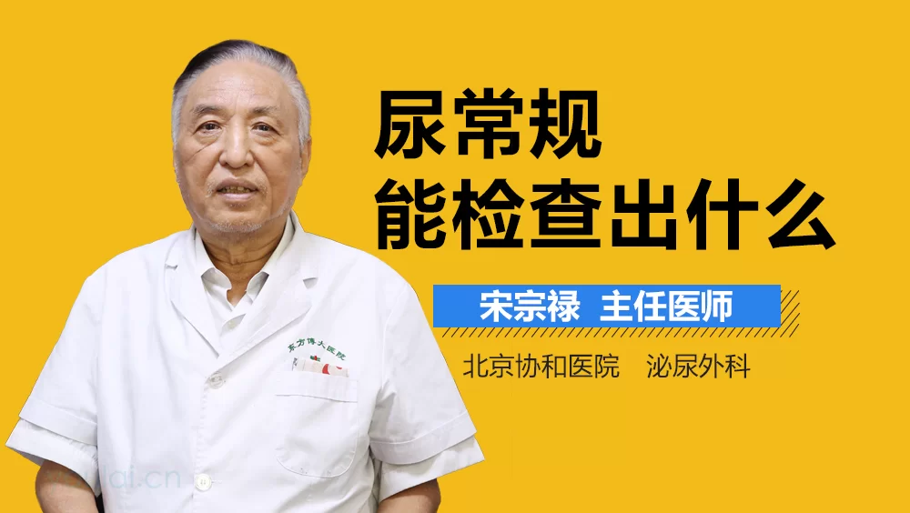 验尿能查出啥病？尿酸检测抽血还是验尿准？