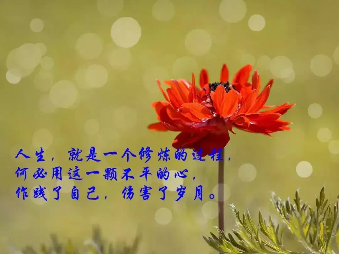 说说句子怎么写？生活感悟简短霸气又扎心！