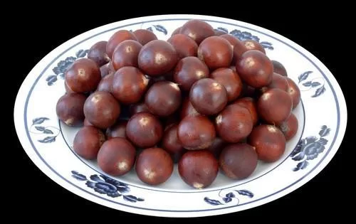 锥栗子哪里产的最香，几月成熟怎么煮剥壳不难？