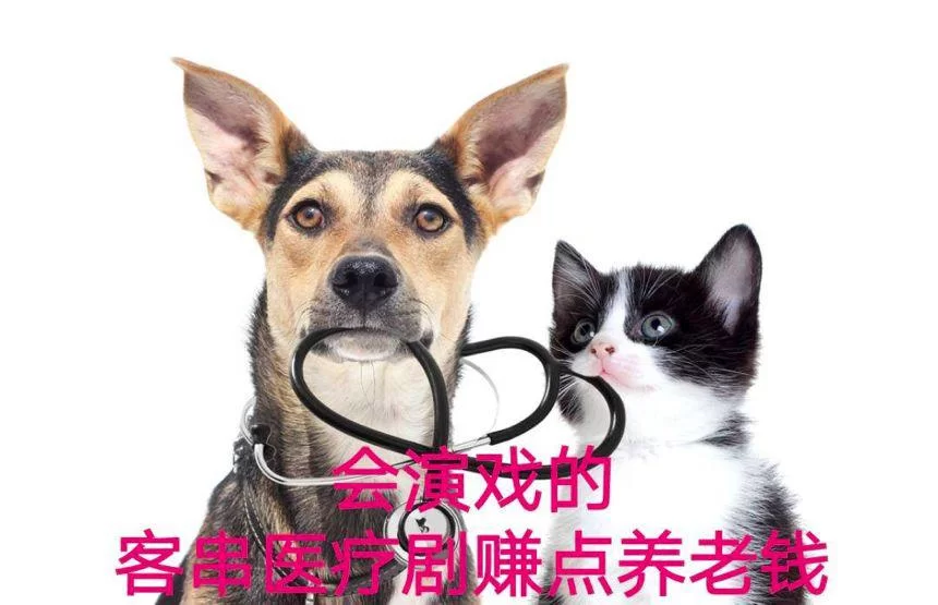 搞副业是为了生活所迫，谁愿意一身才华？