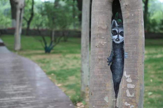 树洞倾听师兼职靠谱吗，一个月能挣多少钱？