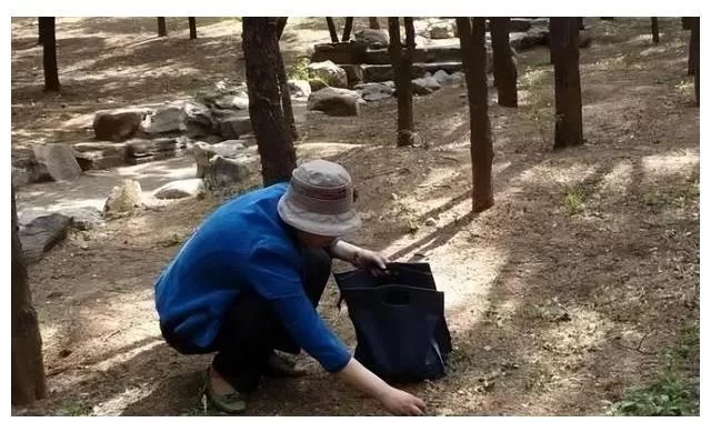 想靠养花技能做副业?培训乱象咋避靠谱不?