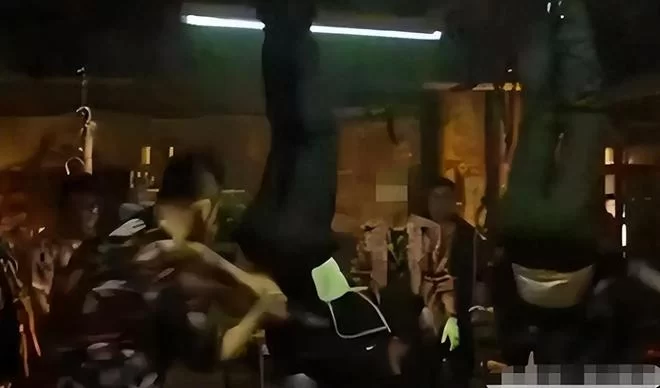 女生版僵尸副业,简单舞蹈视频哪里免费看?