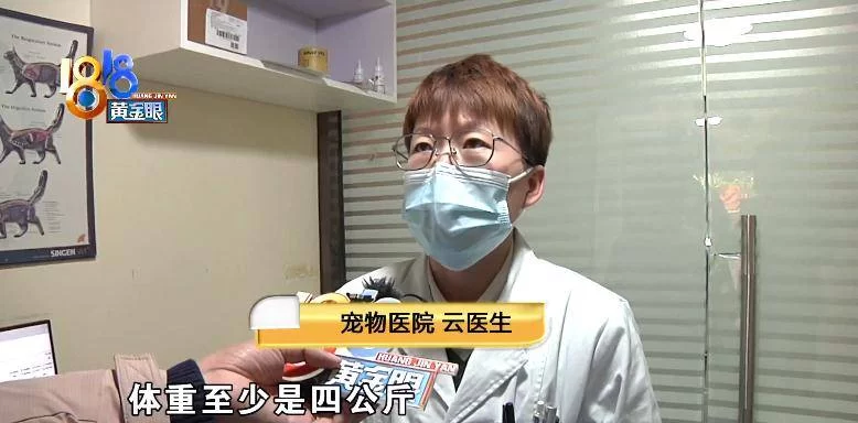 医生主业副业真能两不误?这些副业还能赚钱吗?