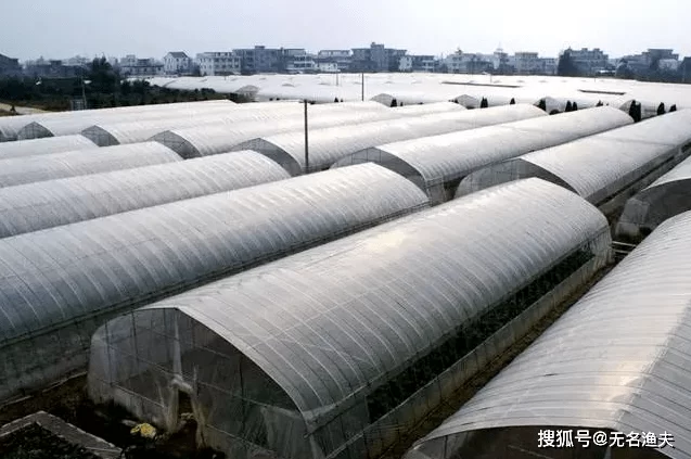 农村养殖副业做啥最稳定好养还赚钱不愁销路？