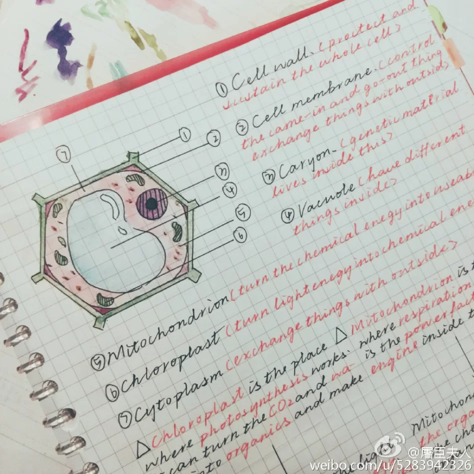 兼职手抄笔记靠谱吗？简单抄写真能轻松赚钱？