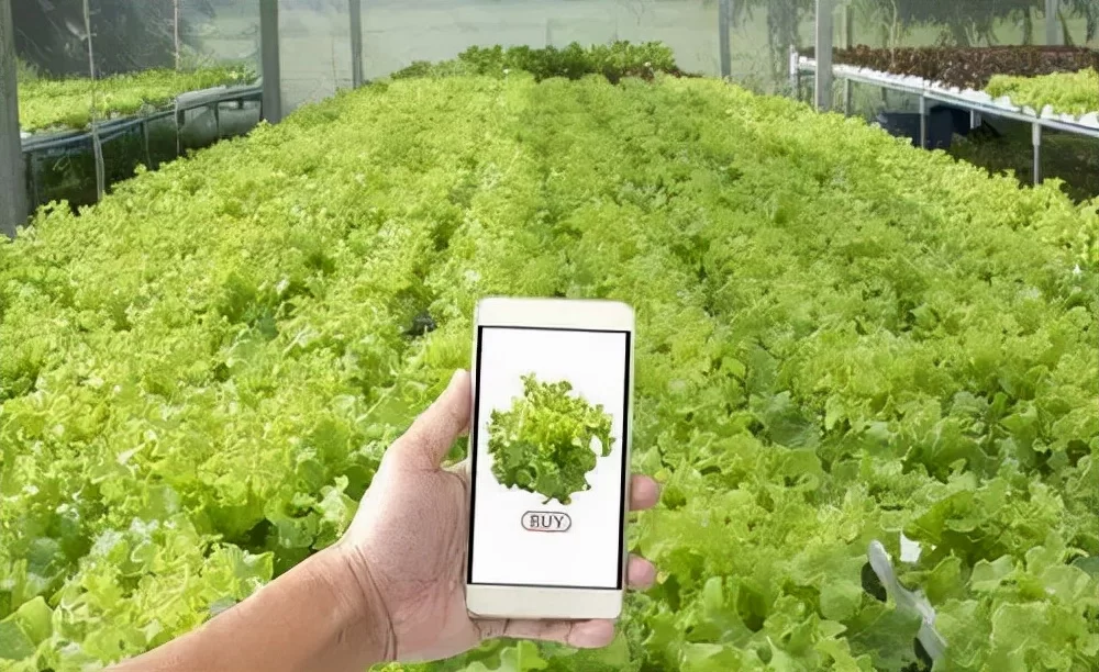 农业中的副业到底指啥，都包括哪些具体内容呢？