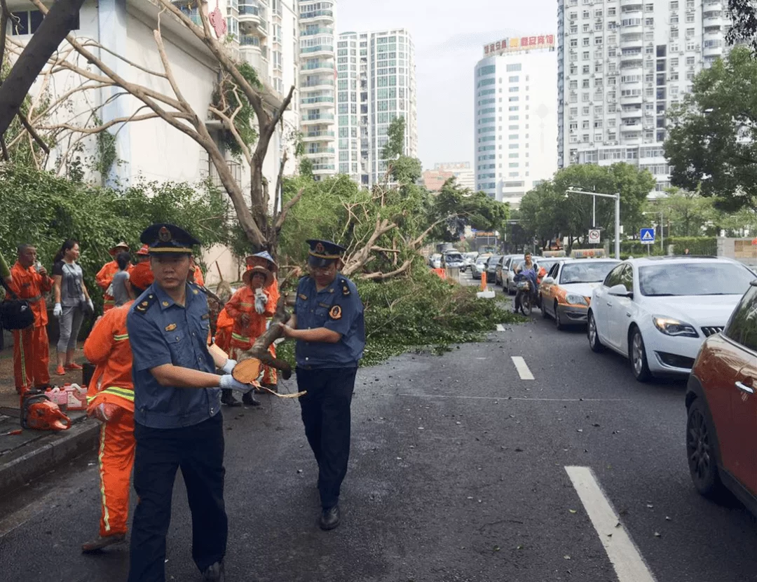 兼职路上跌跌撞撞，怎么走稳青春成长之路？