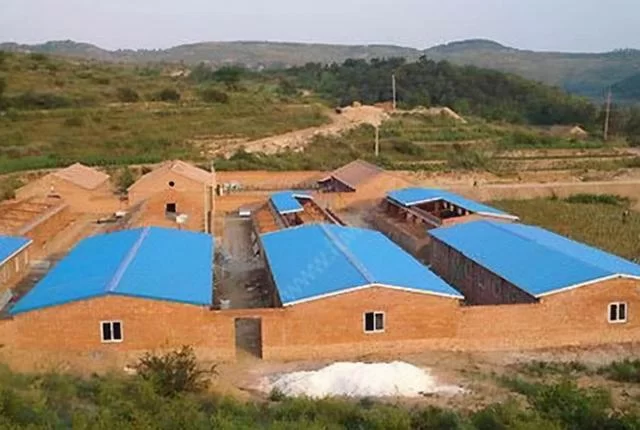 农村闲置房子搞养殖副业，养啥项目比较靠谱？