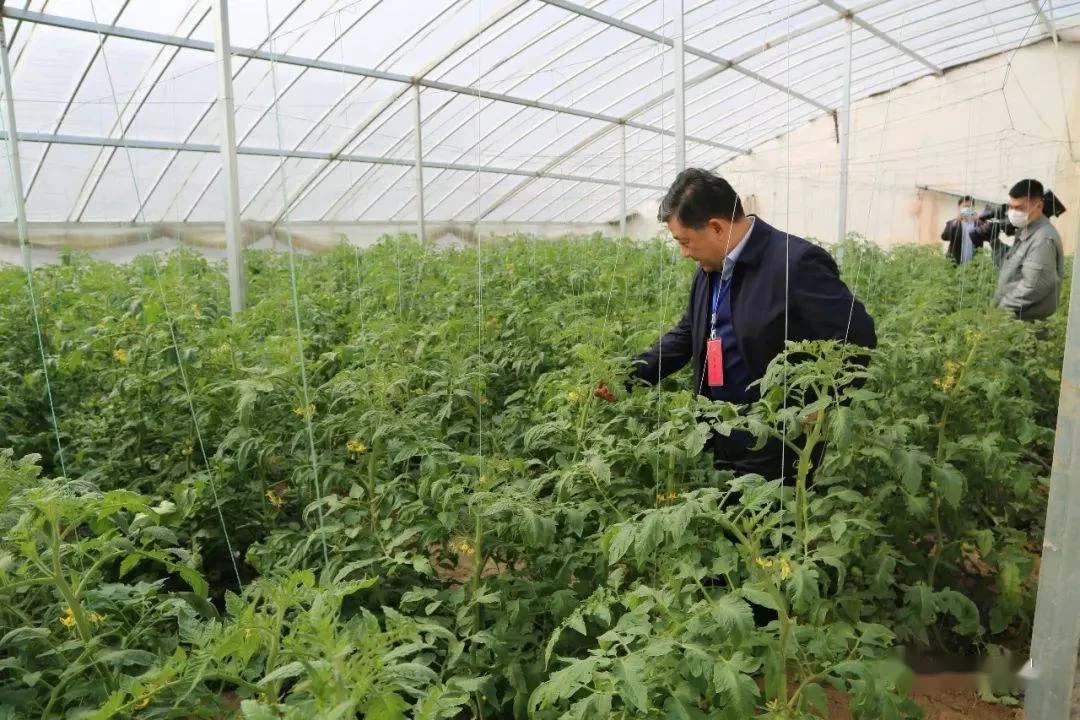 农民副业项目哪些靠谱，做什么能长期赚钱？