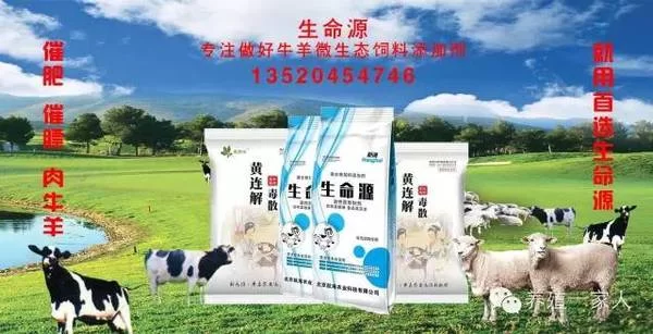 农村养殖什么副业好养又赚钱，小本投入能行吗？