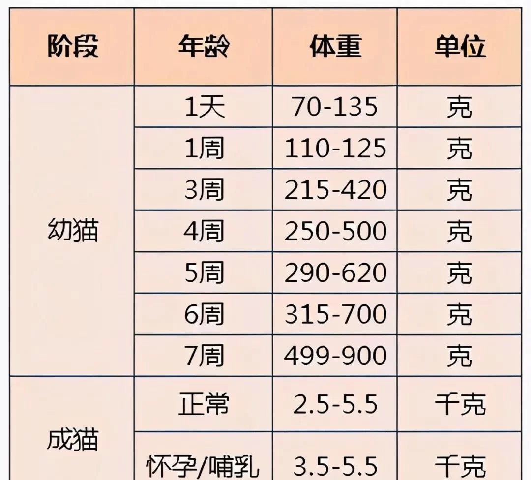 兼职工资结算一月一结吗,多久必须发工资?