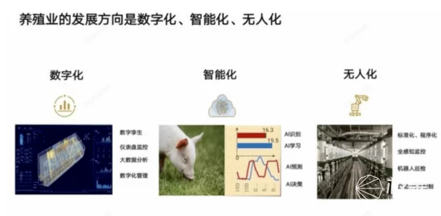 兼职养猪的女孩,边上学边养猪副业到底行不行?