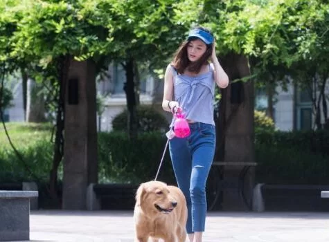 兼职养猫遛狗靠谱吗?赚钱撸猫遛狗能兼得吗?