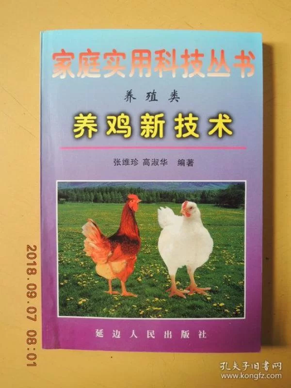 养鸡当副业靠谱吗?怎么靠养鸡多赚点钱?