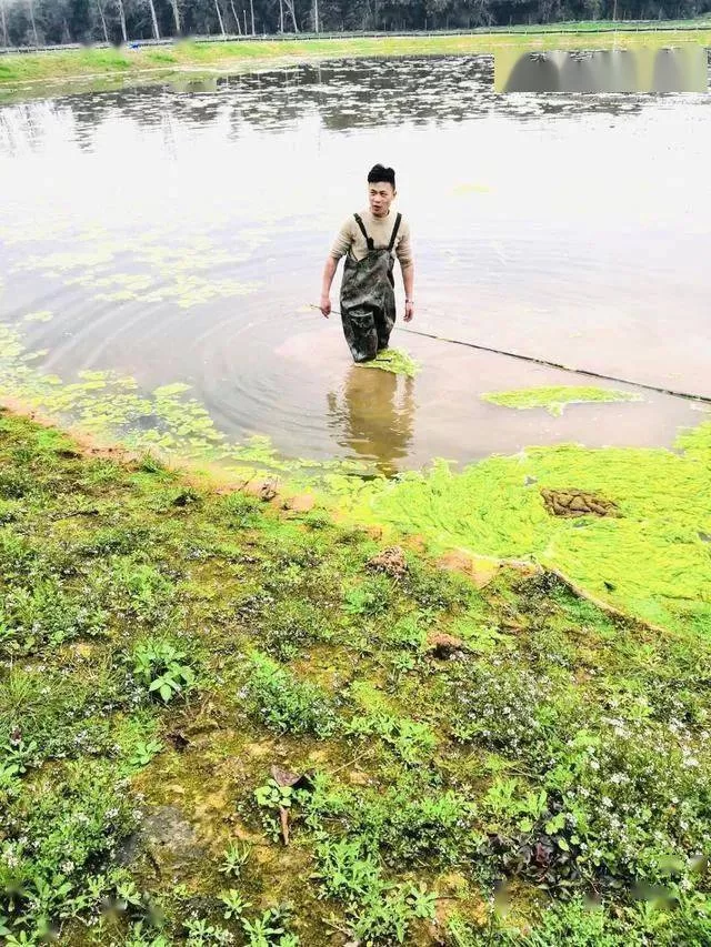 养虾场副业靠谱吗?返乡创业搞家庭养虾能行不?