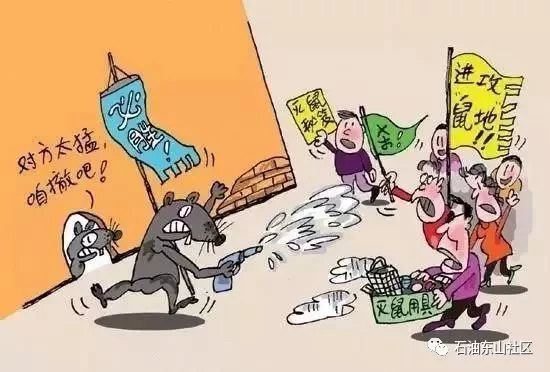 养鼠副业靠谱吗?这些事不能做,小心违法!