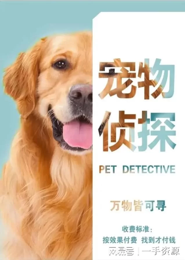 养宠物能做哪些副业?宠物行业有哪些好生意?