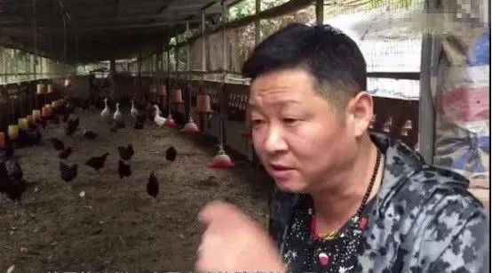 养鸡人的副业有哪些,适合女性上班族吗?
