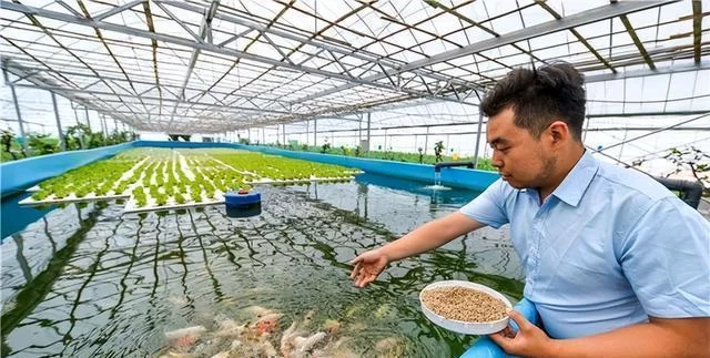 养鱼繁殖副业赚钱吗,什么副业简单又好赚?