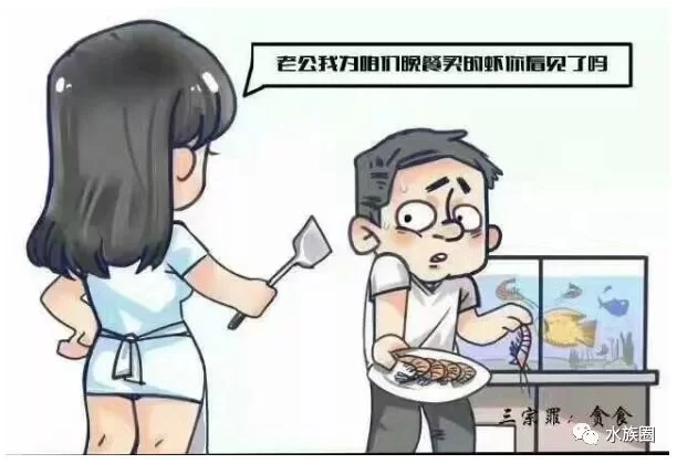 养鱼能当副业吗?上班族边上班边做什么好?