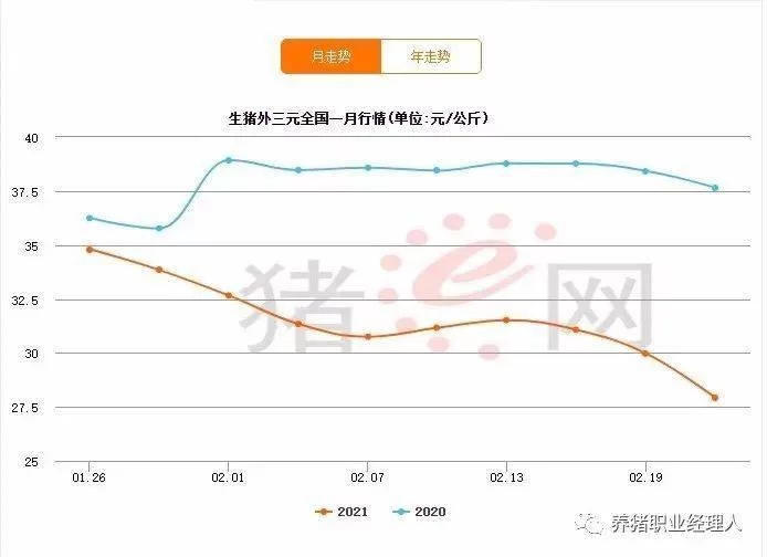 养猪副业发展趋势如何,乡村建设能搭把手?