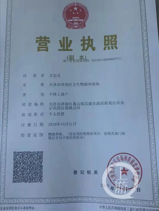 养殖鹦鹉副业要办啥证件,场地要求得满足啥?