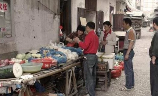 养殖副业咋搞,上班族小县城小型能多赚钱吗?