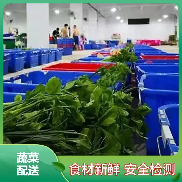 兰州兼职送菜,食堂送菜平台日结工资哪里找?