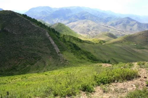 兴县以什么为副业，属于哪个市，邮编多少？