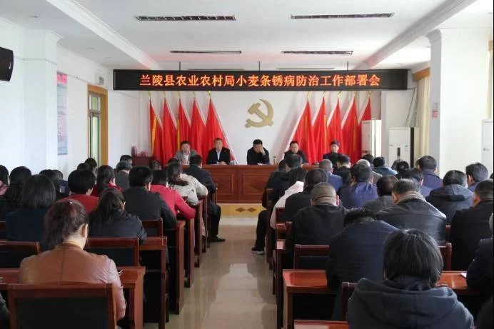 兰陵县兼职招聘有哪些？最新靠谱岗位信息汇总？