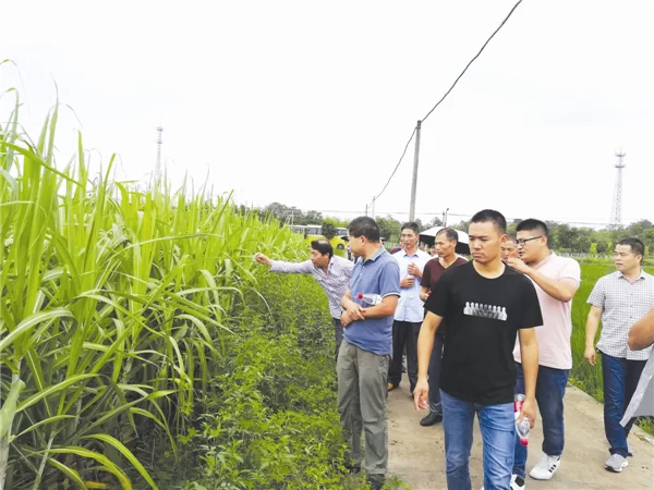 兰溪是哪个省的城市呀，兼职工作好不好找？