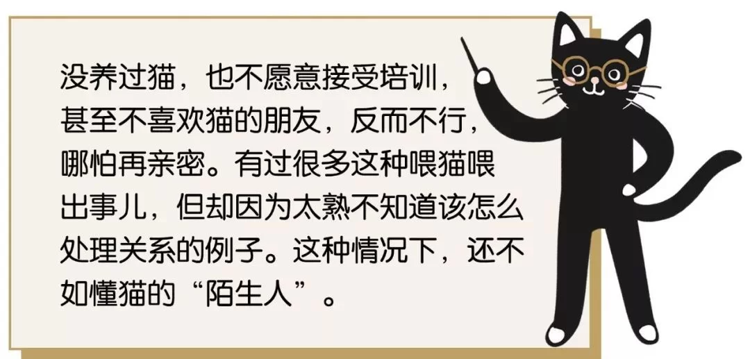 养猫成副业靠谱吗？好处坏事和注意事项要搞懂！
