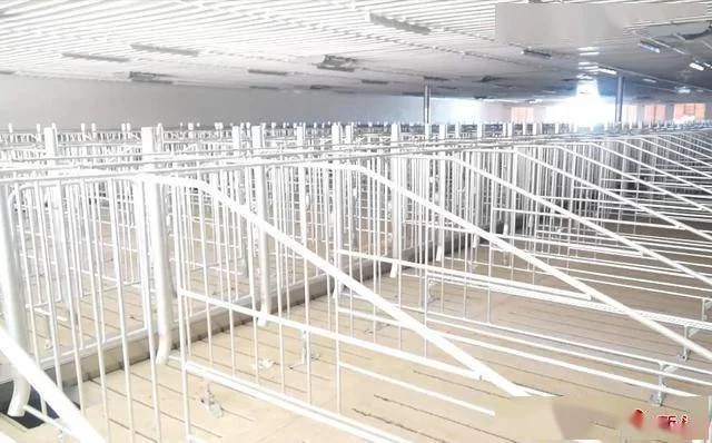 养猪适合干点啥副业,空余时间还能多挣钱不?