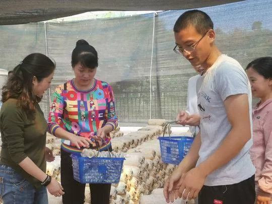 八零后奶爸搞副业,承包村里荒地靠谱不?
