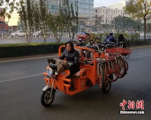 共享单车调度员兼职要啥条件,具体做啥?
