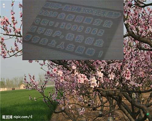 公墓打扫兼职靠谱吗,算志愿服务还是义务活动?