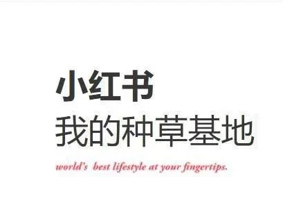 假期副业真假难辨?哪种副业靠谱又赚钱?