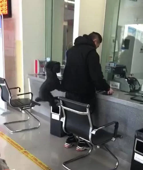 保安副业开店,退休开快餐店做什么副业靠谱?