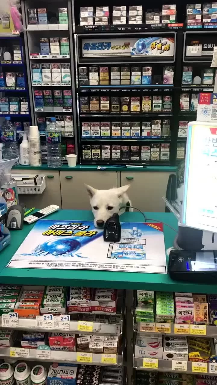 便利店兼职生好做吗?做兼职需要啥条件?