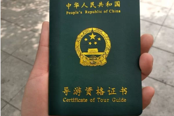 做兼职全陪要满足啥条件,全陪和地陪有啥区别?