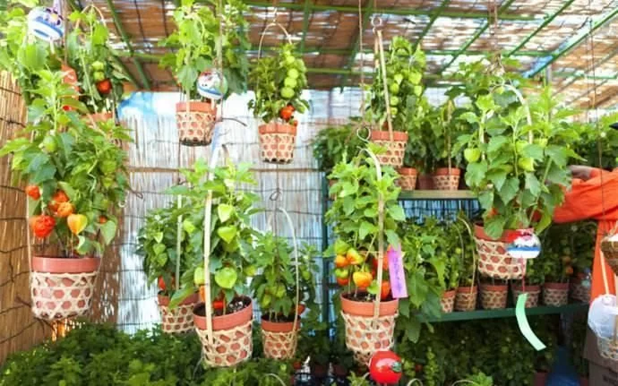 保定花店兼职怎么找?晚上2-3小时日结靠谱不?