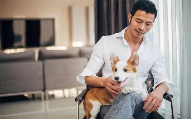 信阳男生下班后适合在家做的副业有哪些?