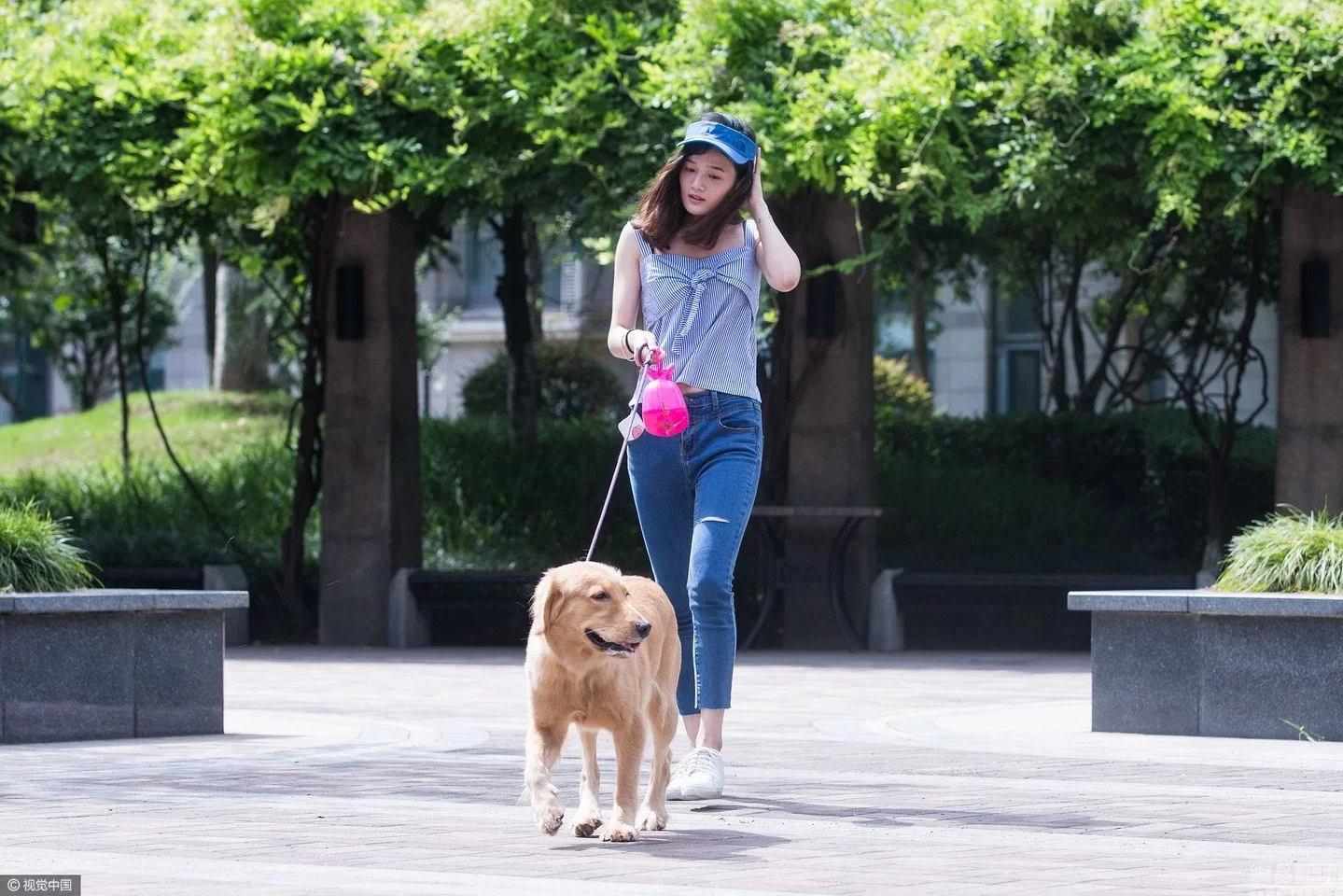 余姚遛狗兼职靠谱吗?哪家平台能找到靠谱活儿?