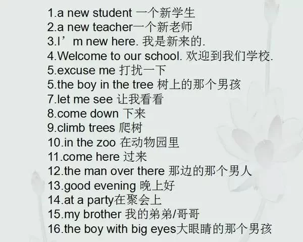 作为副业,英语短语怎么用?固定搭配超实用!